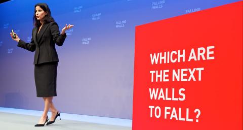 Ghada Falling-Walls