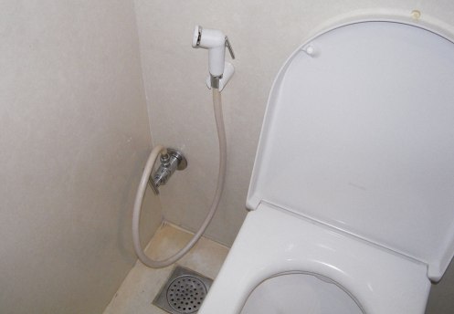 Toilet-and-Hose